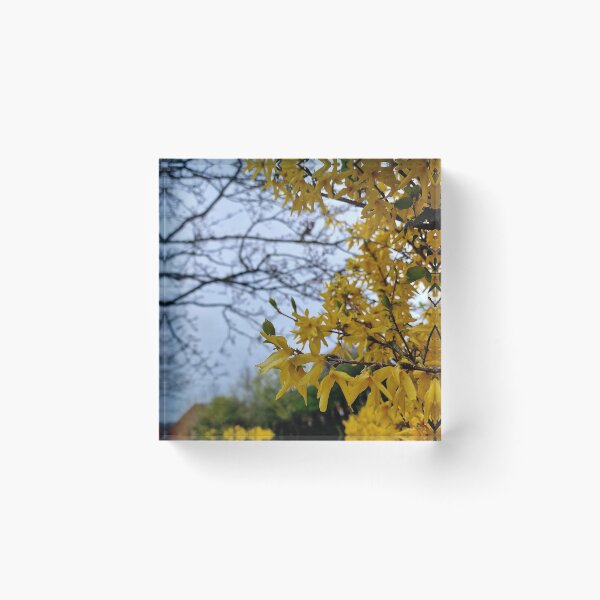 Item preview, Yellow flowers on bush designed and sold by JcPix.