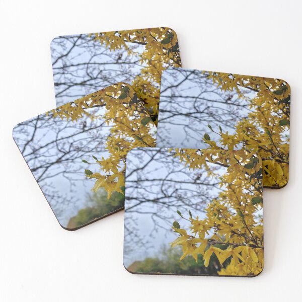 Item preview, Yellow flowers on bush designed and sold by JcPix.