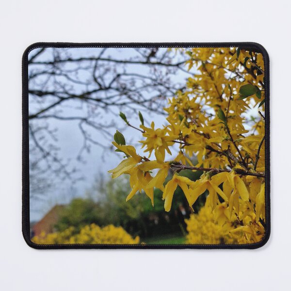 Item preview, Yellow flowers on bush designed and sold by JcPix.