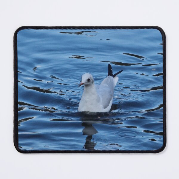 Item preview, Seagull on water designed and sold by JcPix.