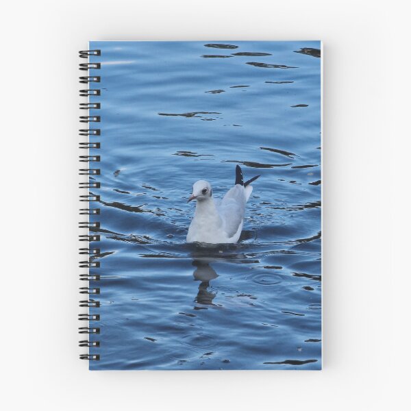 Item preview, Seagull on water designed and sold by JcPix.