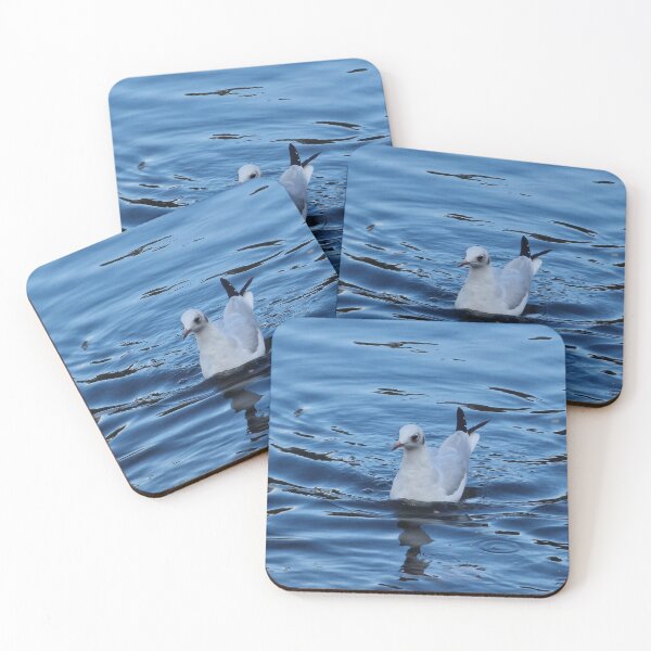 Item preview, Seagull on water designed and sold by JcPix.