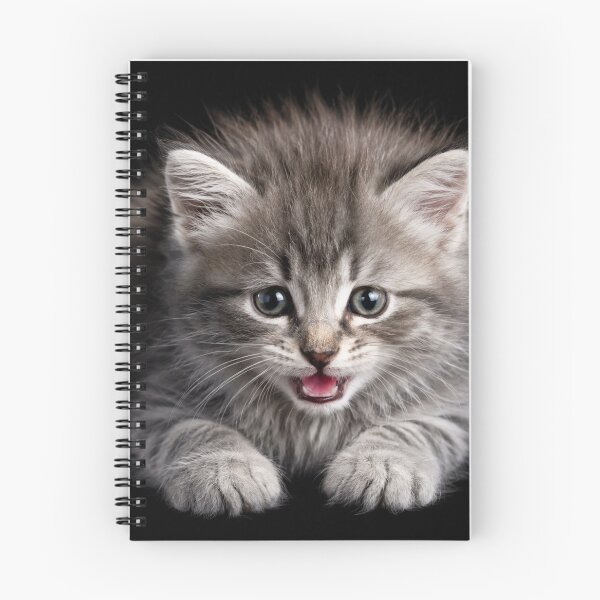 Item preview, Tiny Gray Kitten Says Hello designed and sold by Kimberly Palmer.