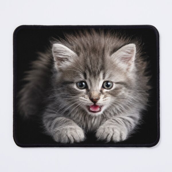 Item preview, Tiny Gray Kitten Says Hello designed and sold by Kimberly Palmer.