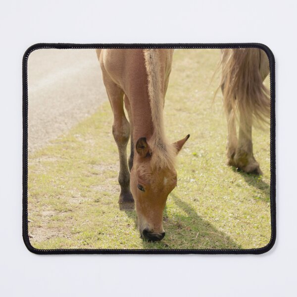 Item preview, Grazing designed and sold by Debra Cox.