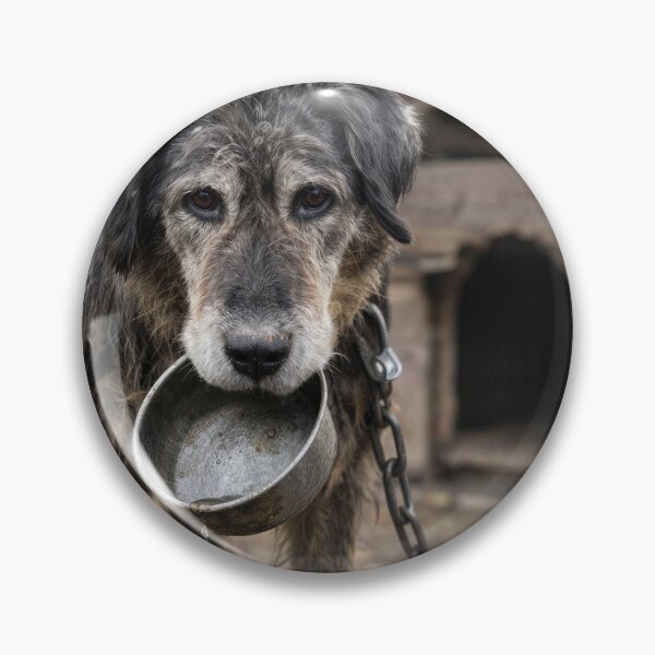 Item preview, Scruffy Dog with an Empty Water Dish designed and sold by Maria Dryfhout.