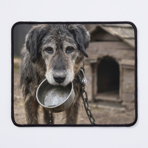 Item preview, Scruffy Dog with an Empty Water Dish designed and sold by Maria Dryfhout.