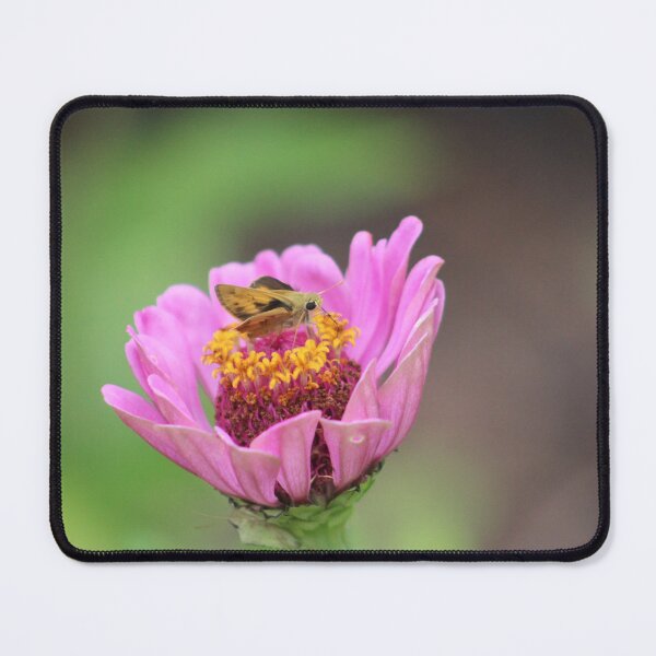 Item preview, Fiery Skipper on Pink Zinnia designed and sold by Cynthia48.