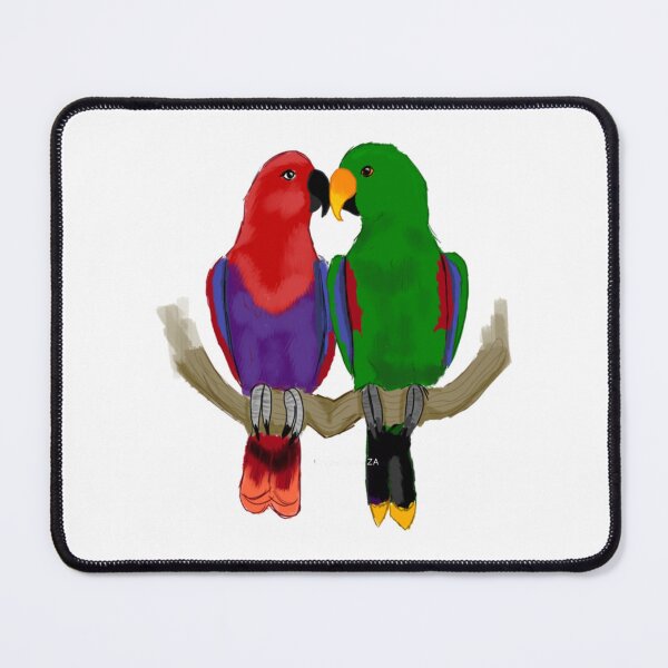 Item preview, Eclectus Parrot Pair Digital Illustration designed and sold by averyfoxdesigns.