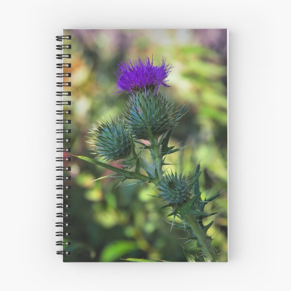Item preview, Purple Thistle bloom designed and sold by JEZ22.