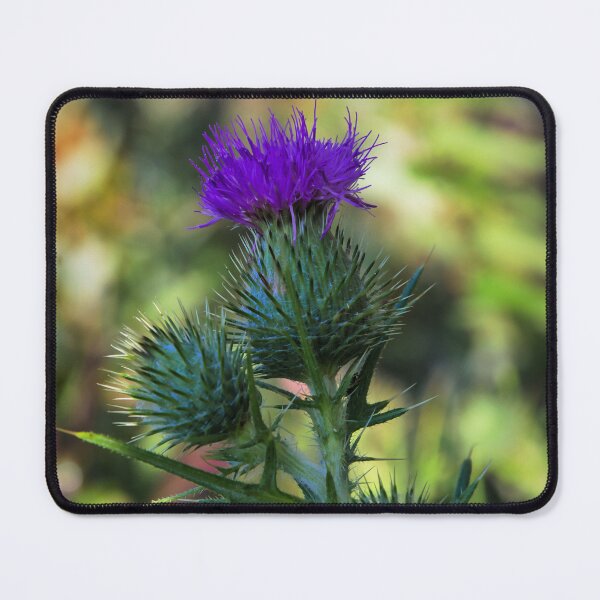 Item preview, Purple Thistle bloom designed and sold by JEZ22.