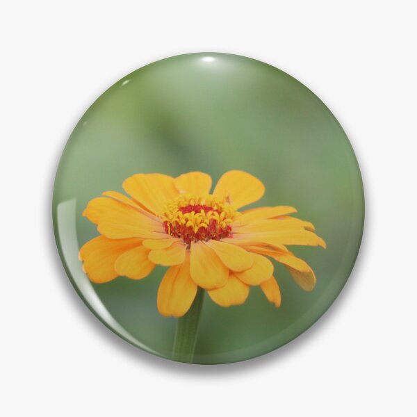 Item preview, Vibrant Orange Zinnia Bloom designed and sold by Cynthia48.