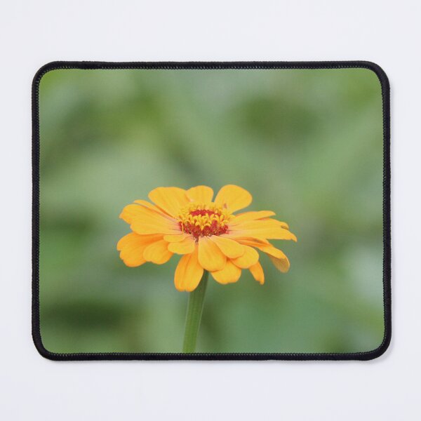 Item preview, Vibrant Orange Zinnia Bloom designed and sold by Cynthia48.