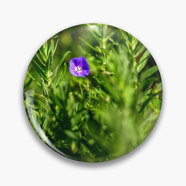 Item preview, Campanilla azul de California, Parque Bute, Cardiff designed and sold by VnGphoto.