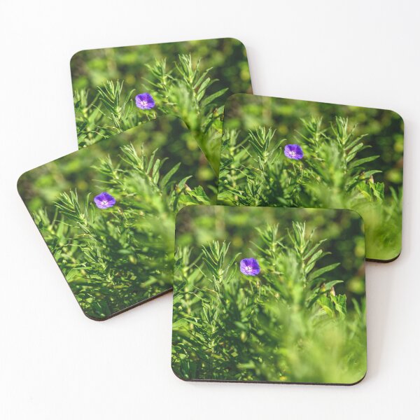 Item preview, California Bluebell, Bute Park, Cardiff designed and sold by VnGphoto.