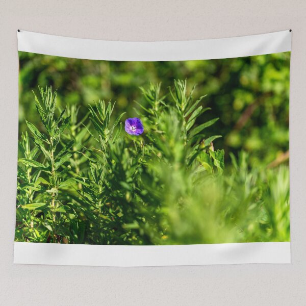 Item preview, California Bluebell, Bute Park, Cardiff designed and sold by VnGphoto.