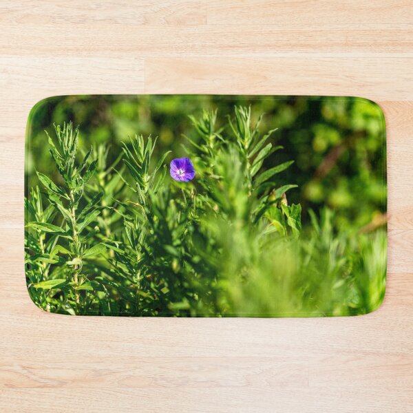 Item preview, California Bluebell, Bute Park, Cardiff designed and sold by VnGphoto.