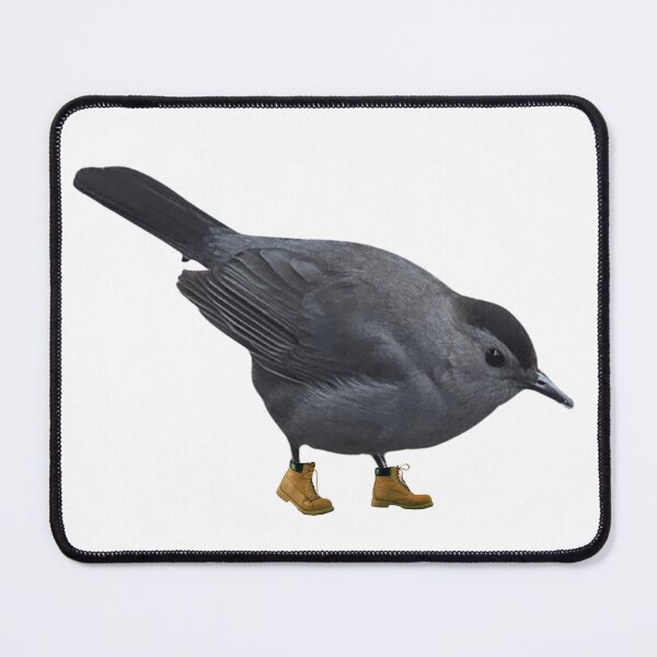 Item preview, Catbird in Timbs (no background) designed and sold by Hobbiest-Design.