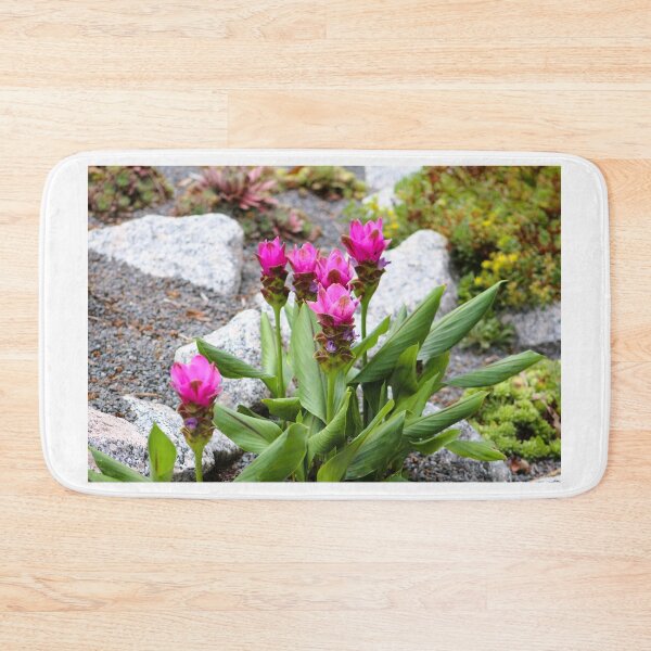 Item preview, Vibrant Pink Siam Tulips designed and sold by Cynthia48.