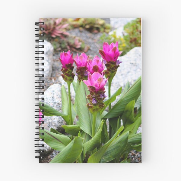 Item preview, Vibrant Pink Siam Tulips designed and sold by Cynthia48.