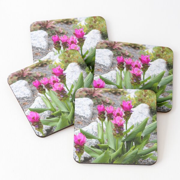 Item preview, Vibrant Pink Siam Tulips designed and sold by Cynthia48.