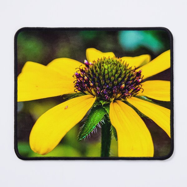 Item preview, Colors of a Wildflower designed and sold by Lunar Bound Imagery .