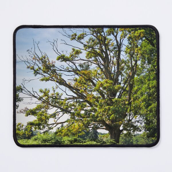 Item preview, Green Trees designed and sold by JEZ22.