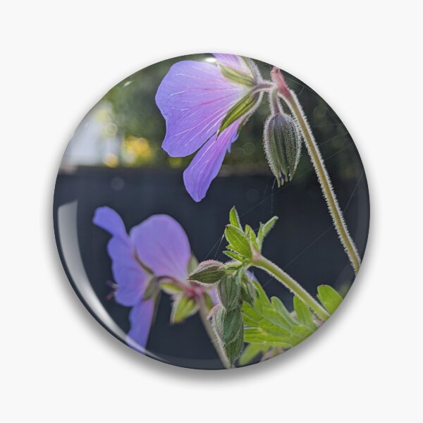Item preview, Geranium 'Johnson's Blue' in Bloom designed and sold by PrettyAround.