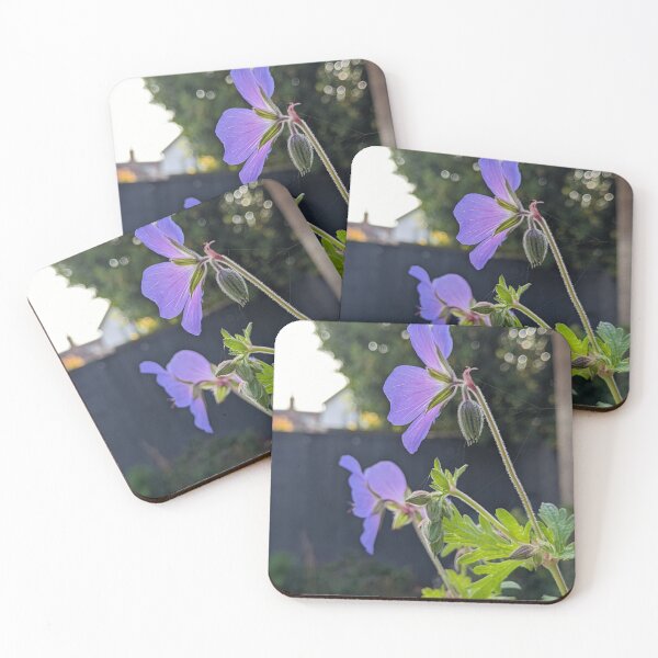 Item preview, Geranium 'Johnson's Blue' in Bloom designed and sold by PrettyAround.