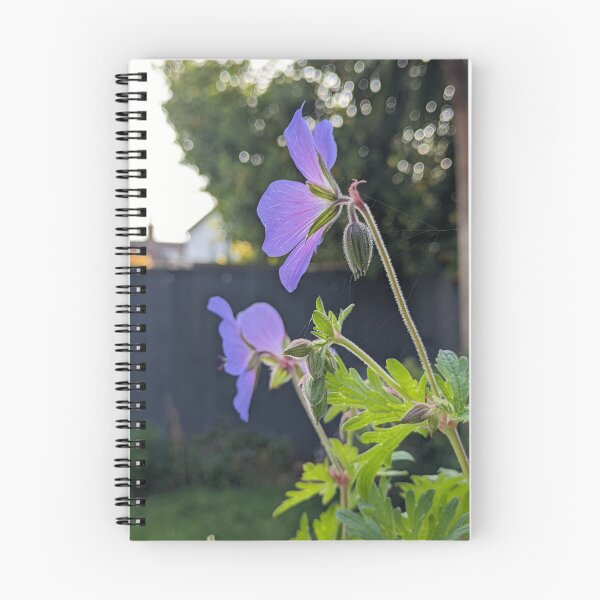 Item preview, Geranium 'Johnson's Blue' in Bloom designed and sold by PrettyAround.