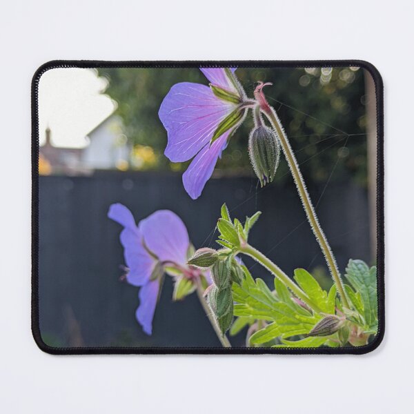 Item preview, Geranium 'Johnson's Blue' in Bloom designed and sold by PrettyAround.
