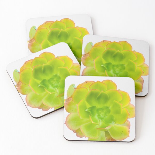 Item preview, Vibrant Echeveria Succulent with Rosy Edges designed and sold by BalkanBloom.
