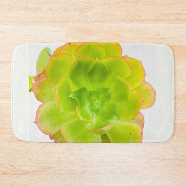 Item preview, Vibrant Echeveria Succulent with Rosy Edges designed and sold by BalkanBloom.