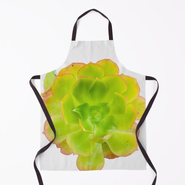 Item preview, Vibrant Echeveria Succulent with Rosy Edges designed and sold by BalkanBloom.