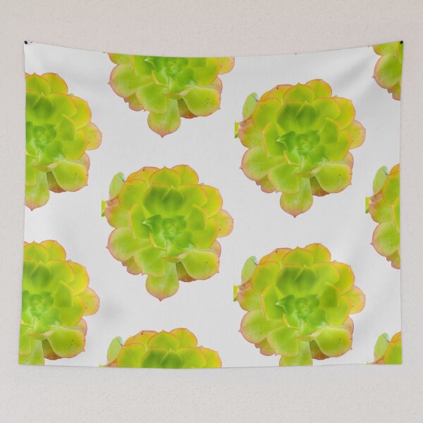 Item preview, Vibrant Echeveria Succulent with Rosy Edges designed and sold by BalkanBloom.