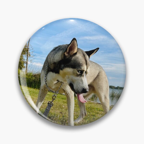 Item preview, Florida Paws - Husky by the Lake - Scenic Waterfront Adventure. designed and sold by QuietBloomDHS.