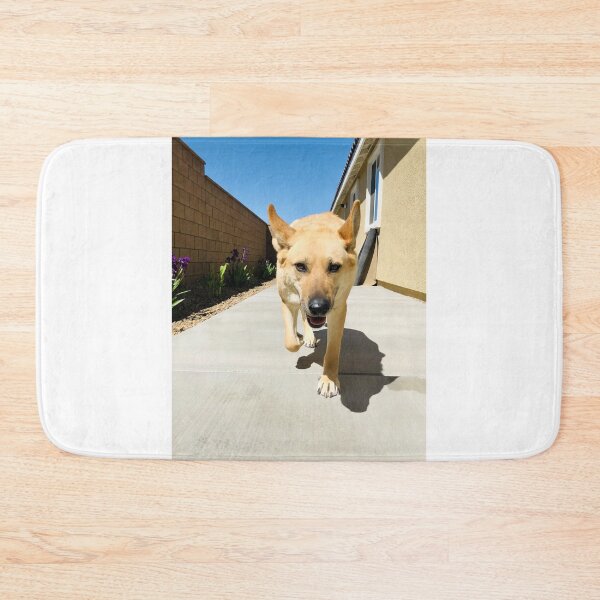 Item preview, Florida Paws - Tan German Shepherd Mix Coming Through Side Gate - Happy Homecoming. designed and sold by QuietBloomDHS.