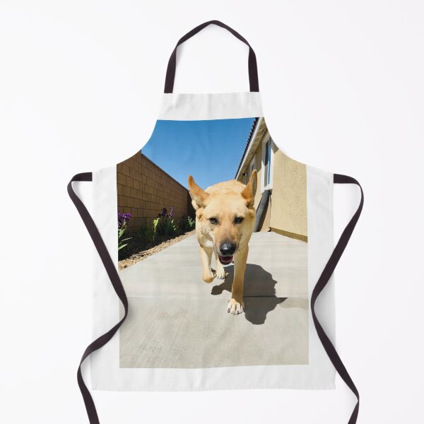 Item preview, Florida Paws - Tan German Shepherd Mix Coming Through Side Gate - Happy Homecoming. designed and sold by QuietBloomDHS.