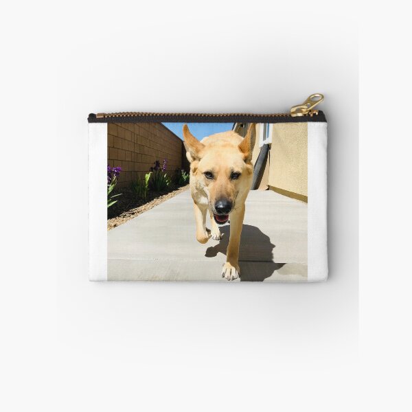 Item preview, Florida Paws - Tan German Shepherd Mix Coming Through Side Gate - Happy Homecoming. designed and sold by QuietBloomDHS.