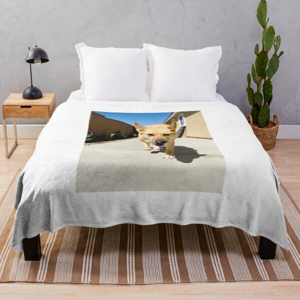 Item preview, Florida Paws - Tan German Shepherd Mix Coming Through Side Gate - Happy Homecoming. designed and sold by QuietBloomDHS.