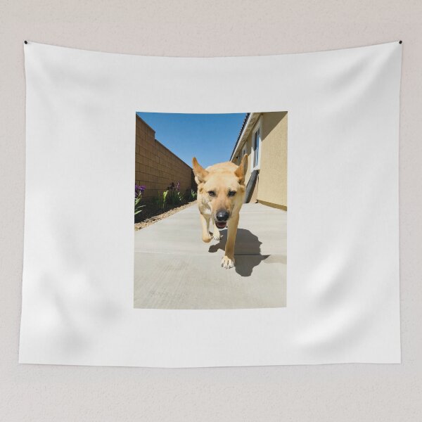 Item preview, Florida Paws - Tan German Shepherd Mix Coming Through Side Gate - Happy Homecoming. designed and sold by QuietBloomDHS.
