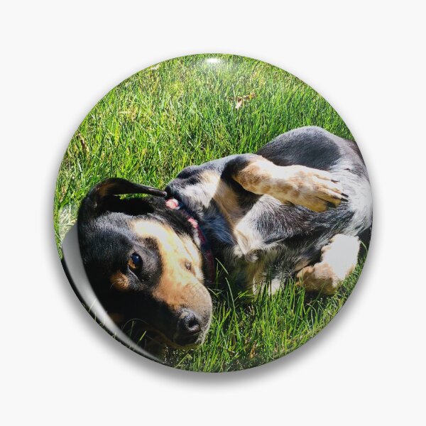 Item preview, Florida Paws - Playful Black and Tan Dog Rolling in Grass - Pure Joy. designed and sold by QuietBloomDHS.