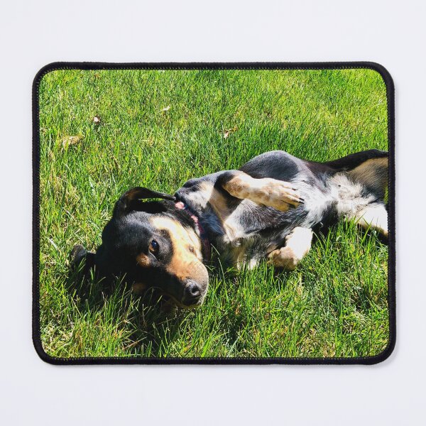 Item preview, Florida Paws - Playful Black and Tan Dog Rolling in Grass - Pure Joy. designed and sold by QuietBloomDHS.