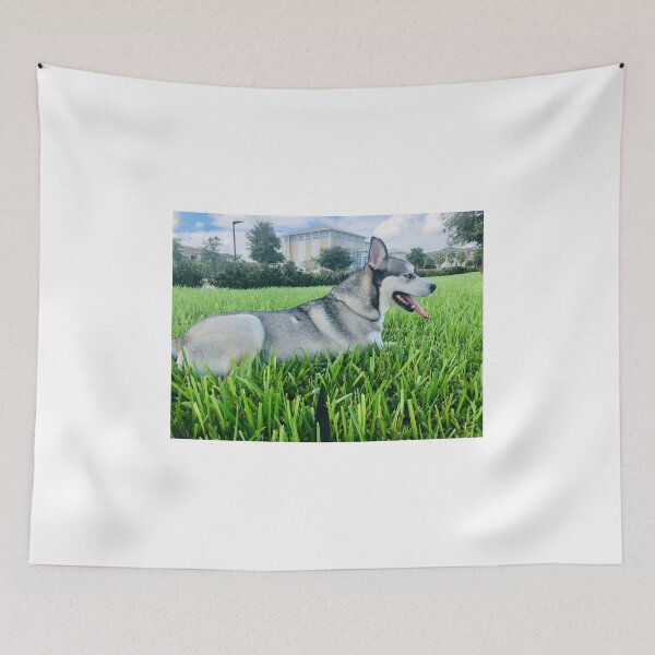 Item preview, Florida Paws - Majestic Black and Tan Husky in Grass - Alert Portrait. designed and sold by QuietBloomDHS.