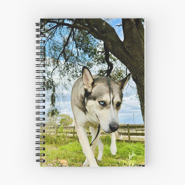 Item preview, Florida Paws - Dark Gray and Tan Husky Walking Under Tree - Striking Heterochromia Portrait designed and sold by QuietBloomDHS.