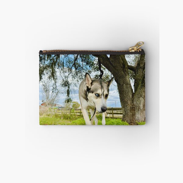 Item preview, Florida Paws - Dark Gray and Tan Husky Walking Under Tree - Striking Heterochromia Portrait designed and sold by QuietBloomDHS.