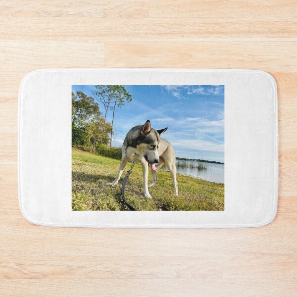 Item preview, Florida Paws - Husky by the Lake - Scenic Waterfront Adventure. designed and sold by QuietBloomDHS.