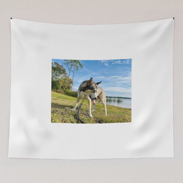 Item preview, Florida Paws - Husky by the Lake - Scenic Waterfront Adventure. designed and sold by QuietBloomDHS.