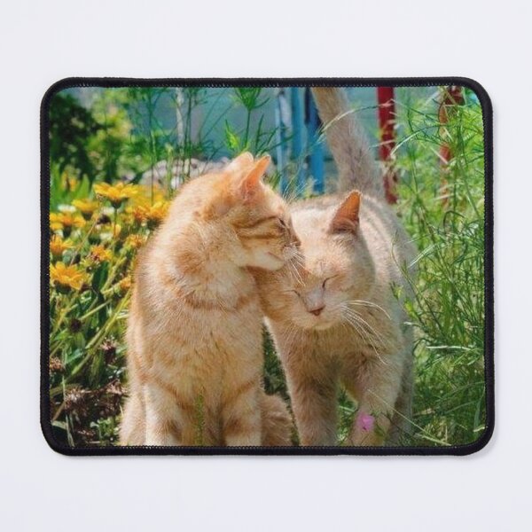 Item preview, Two Loving Cats in a Sunny Garden – Heartwarming Feline Friendship | Cute Nature Cat Wall Art designed and sold by Jesus-istheway.