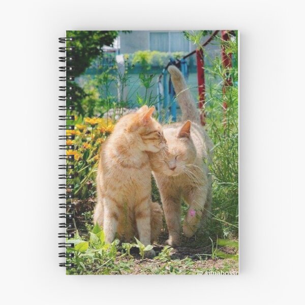 Item preview, Two Loving Cats in a Sunny Garden – Heartwarming Feline Friendship | Cute Nature Cat Wall Art designed and sold by Jesus-istheway.